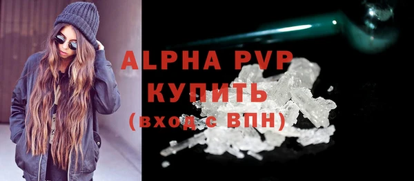 спайс Ладушкин