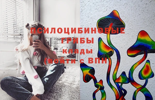 спайс Ладушкин