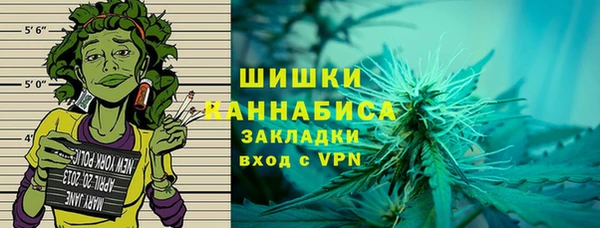 спайс Ладушкин