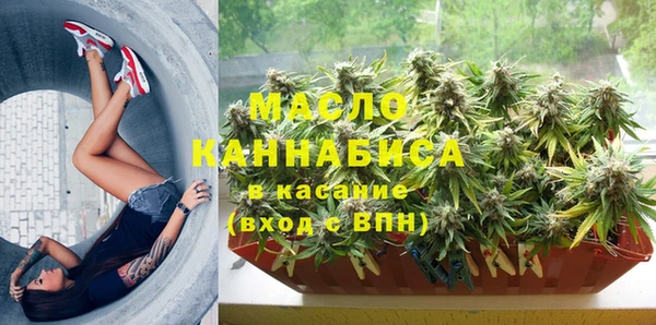 спайс Ладушкин